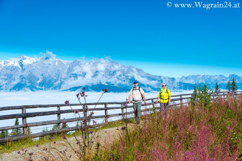Wandern mit Panoramablick am Grafenberg - Wagrain