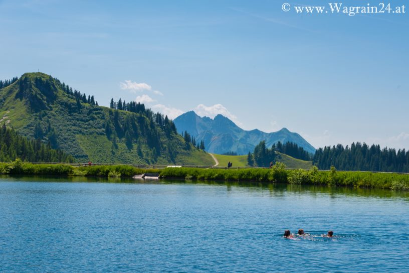 Wagrainis Grafenberg - Schwimmen im See mit Blick auf Sonntagskogel