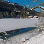 Blick zum Gasthof Jägersee - Schwäne im Winter