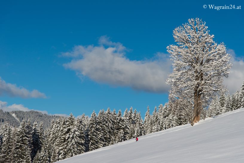 Winterlandschaft in Wagrain mit Skifahrer