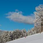 Winterlandschaft in Wagrain mit Skifahrer