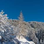 Winterimpession aus Wagrain beim Wolfensberg