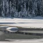 Schwäne im Winter am Jägersee Wagrain-Kleinarl
