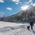 Mit Hunden am winterlichen Jägersee Wagrain-Kleinarl