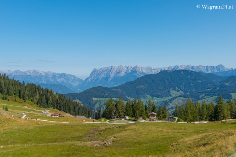 Panoramablick biem Schaukelwald am Grafenberg Wagrain