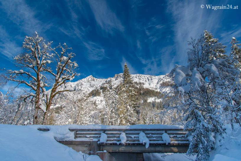 Winterlandschaft mit Brücke am Jägersee