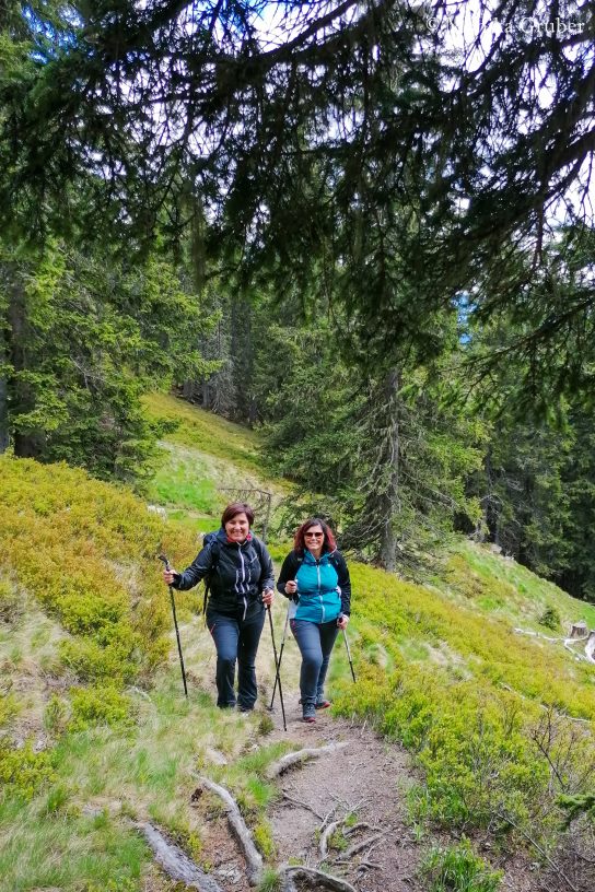 Monika und Petra beim Wandern aufs Hochgründeck