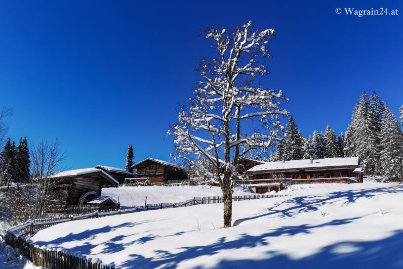 Winterfoto Edelweiss-Alm im Weberlandl Wagrain